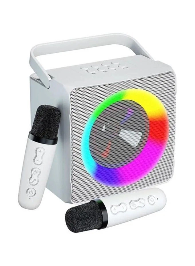 shopi.ae SD-508 - Dual microphone