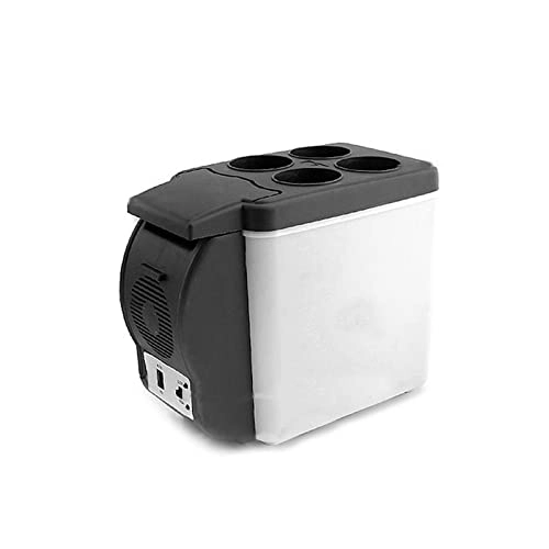 Mini refrigerator - Dual Use Portable