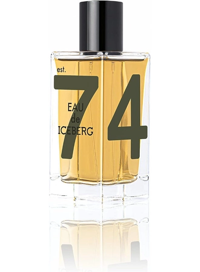 Amber Man Eau de Toilette 100 ml