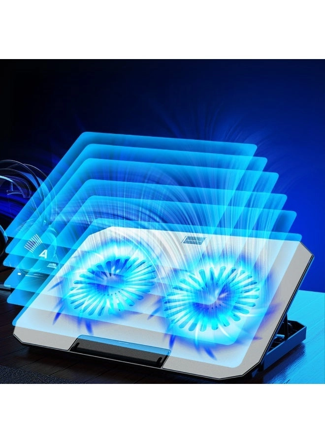 CF-12 - Dual 17 inch