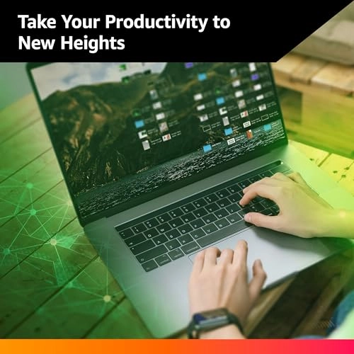 SN350 - 1TB 2.28 inches