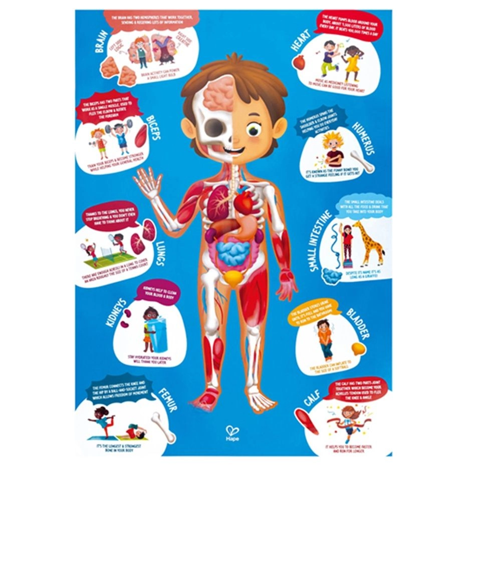 Doctor On Call + Human Body Puzzle - Suitable for 3 years & above 10 pcs