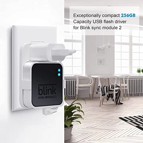 Blink USB Flash Drive - 256GB USB 3.0 + Outlet Wall Mount - Blink Sync Module 2