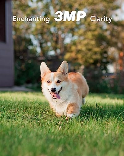 N44WET0-72GK-V2-OP - 2Pcs 4CH 3MP