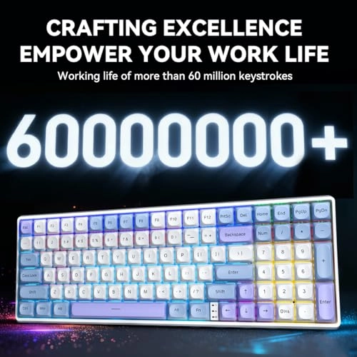 RK100 - Wired/Wireless