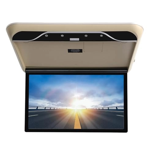 IPS Car Roof Monitor - 19"
