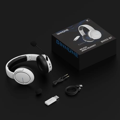 BW02-BT Wireless Headset