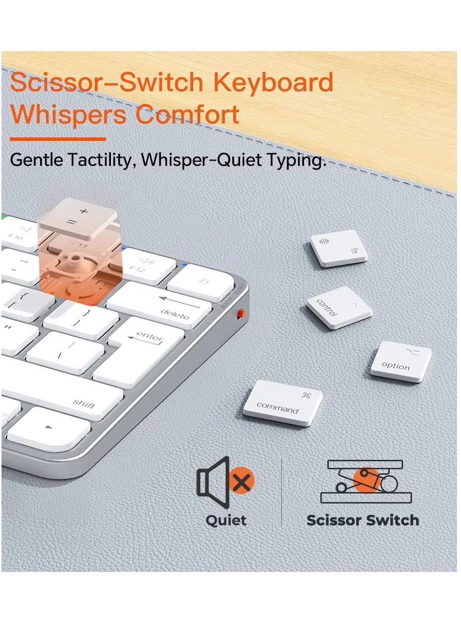 MT-C210 - EN/AR Wireless