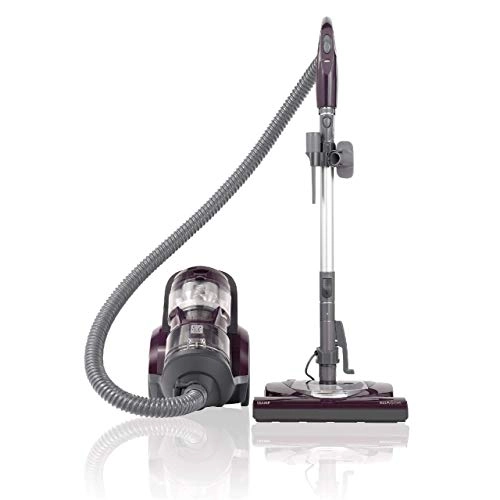 Kenmore Pet Friendly Lightweight Bagless Compact Canister Vacuum (22614)