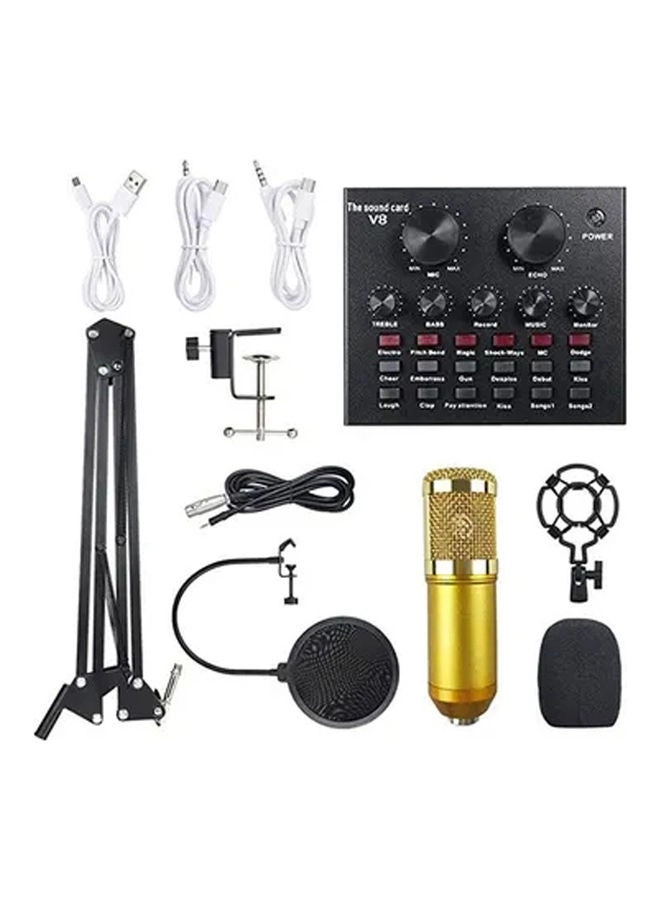 BM-800 + Live Sound Card Wired Microphone