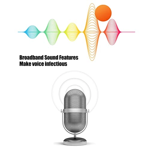 Customer Service Headset - USB Noise Cancelling