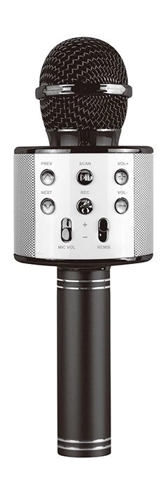 Music Karaoke Microphone - 3 years+