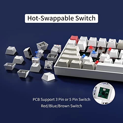 GM1000 - Wired/Wireless