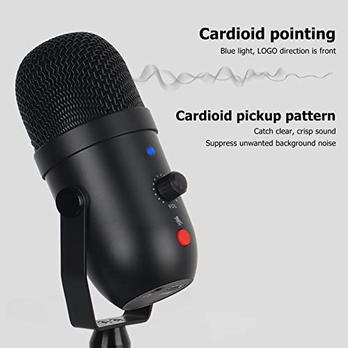 Bewinnerk283b9oeuf USB Microphone