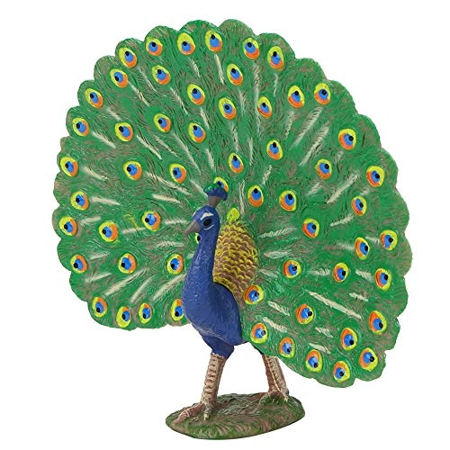 Peacock Model - 18 months - 3 years Peacock 1