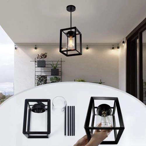 1 Light Pendant Light