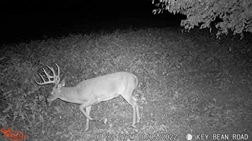 Scrapeline - 18 megapixel Bundle