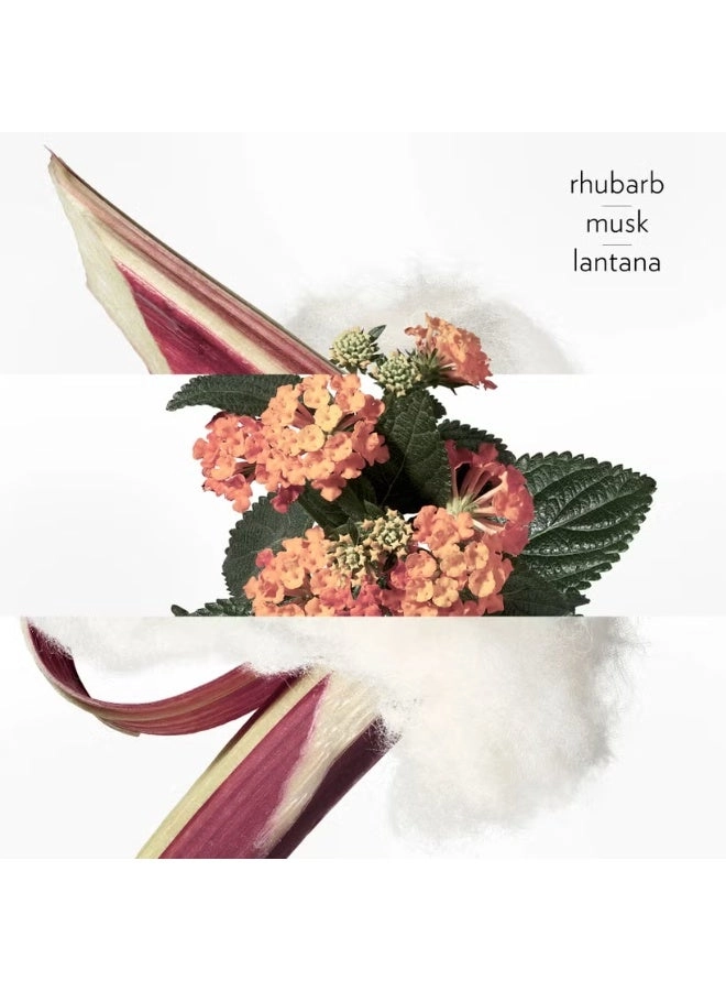 Eau de Rhubarbe écarlate - 100 ml