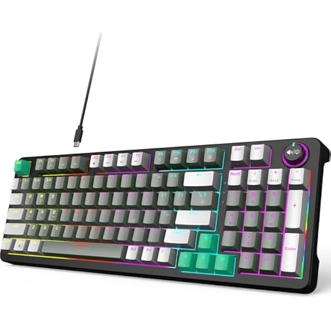 rayihni 96-Key Layout Mechanical