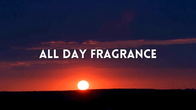 Play Eau de Parfum 100 ml