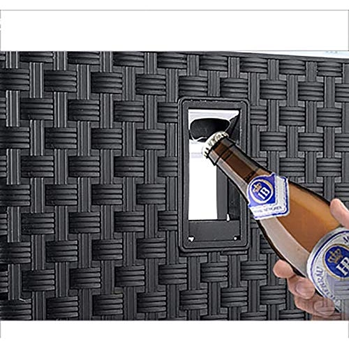 Portable Car Mini Refrigerator - 12V 24V 220V