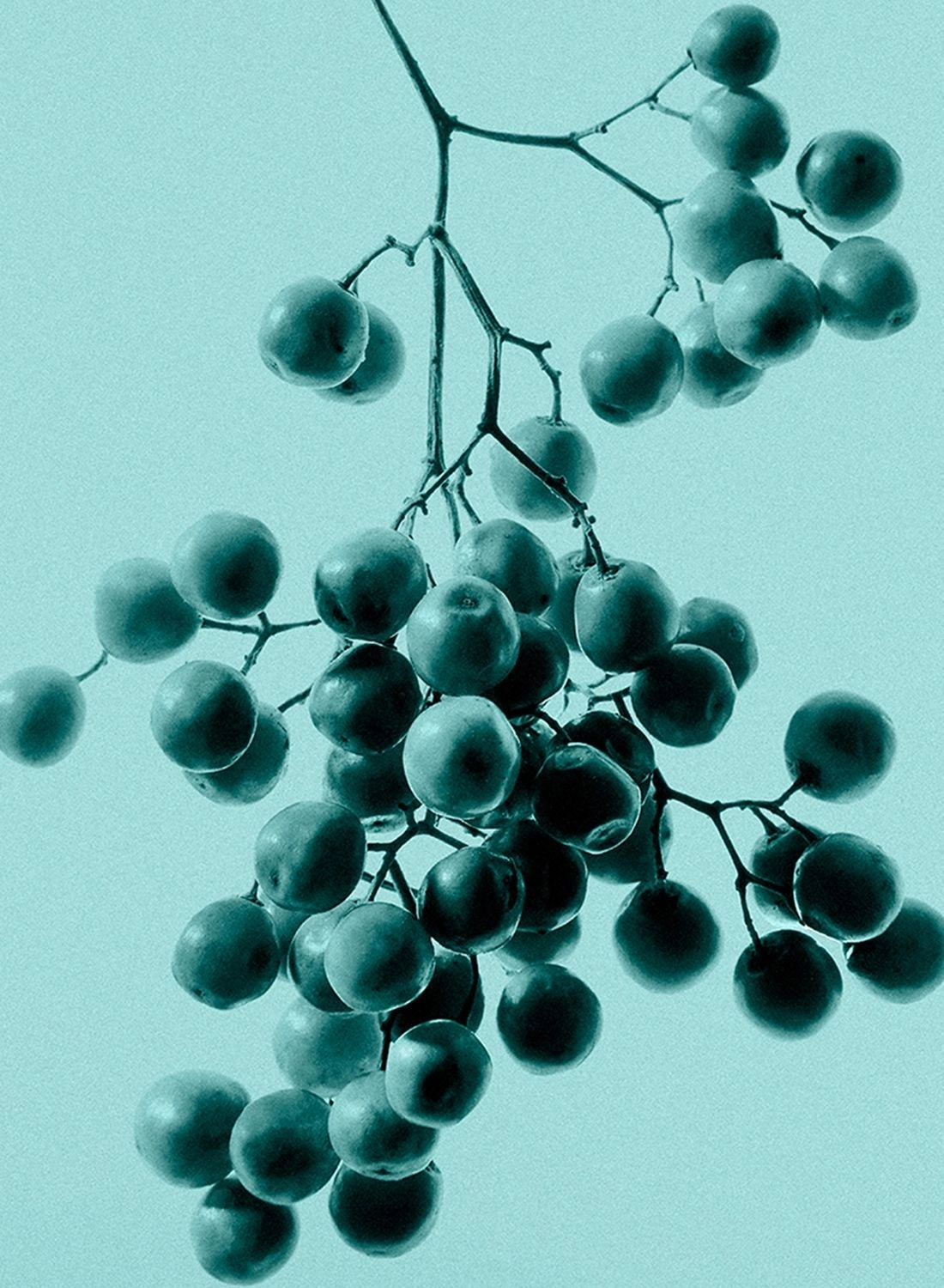 Rose Gold Intense Eau de Parfum 30 ml