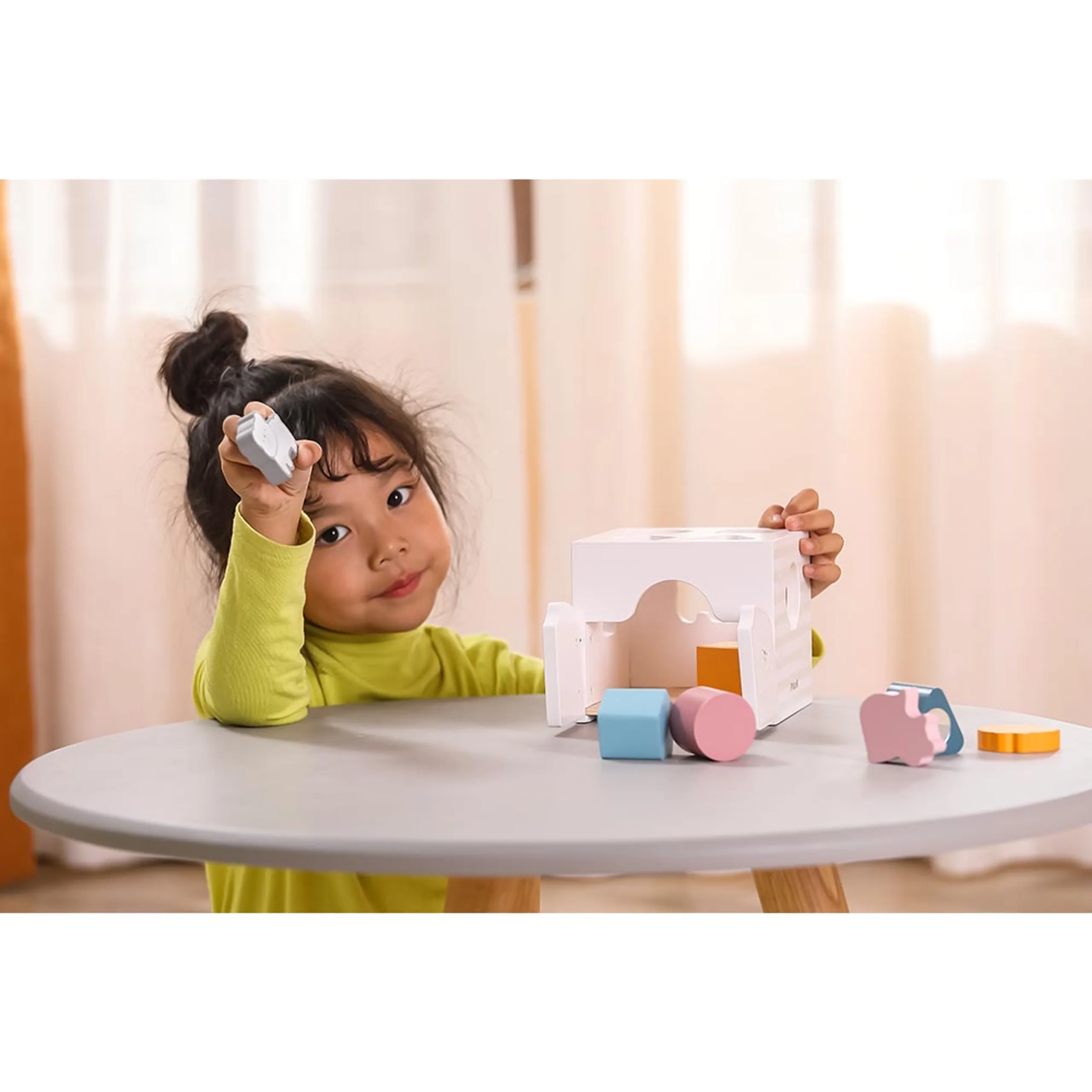 Animal Shape Sorter - 18 months & above 6 pieces