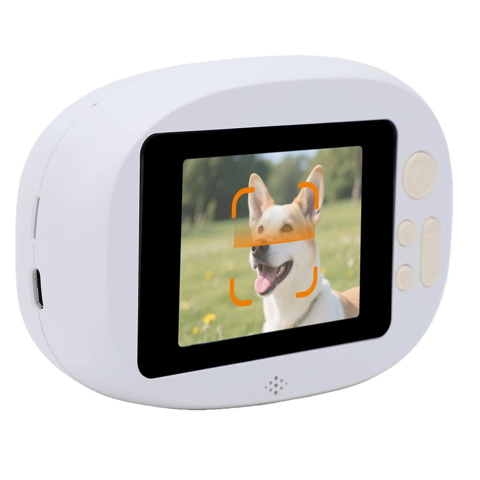 Dpofirs A12 - Thermal 48mm