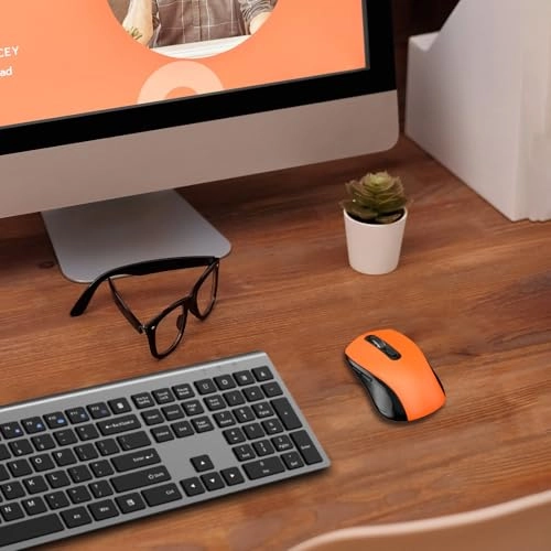 Ergonomic Optical Mouse - USB Wireless