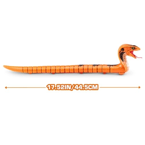 S001 - Standard-Series 1 Cobra 12Pcs/Ctn
