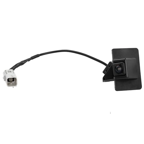 Backup Camera - Night Vision