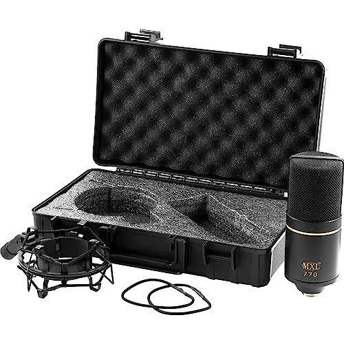 770 XLR Microphone