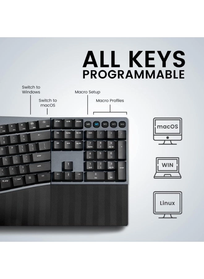 PERIBOARD-535 - US Wired