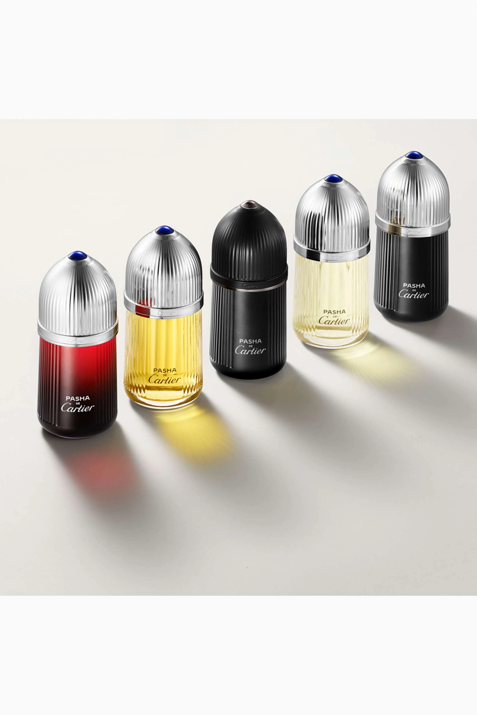 Pasha De Cartier Noire Eau de Toilette 100ml