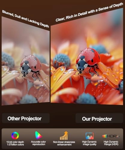 Freestyle HY300 200 ANSI