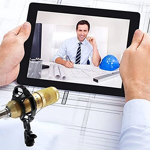 Bm-800 Wired Microphone