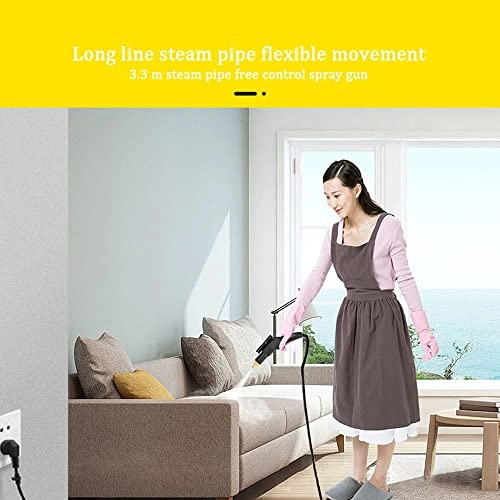Steam Cleaner - closed pressure 6kg/c㎡