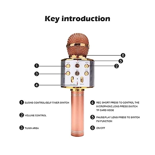 Portable Wireless Microphone - 1 5W