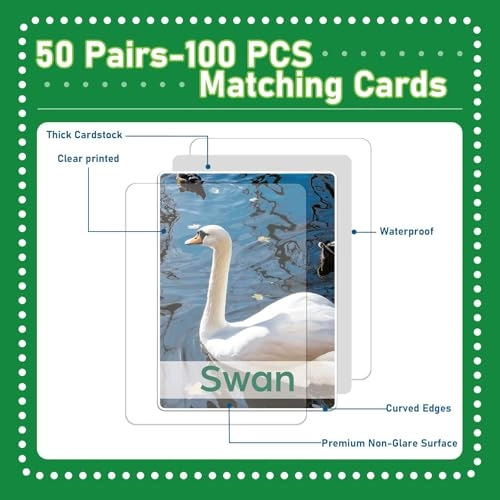 Memory Matching Game - 3 years and up 100 pieces