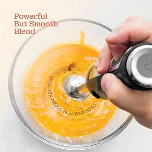 Multi-Use Immersion Blender - 800W