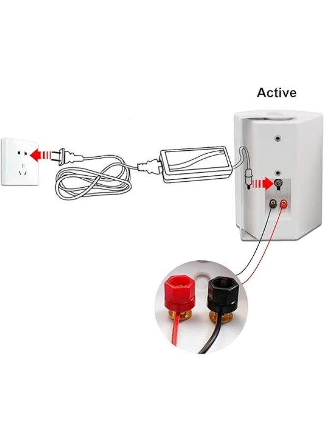 Outdoor Speakers - 300W