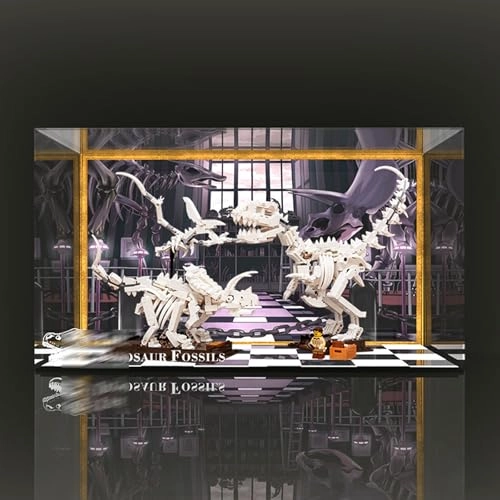 Display Case - LEGO 21320