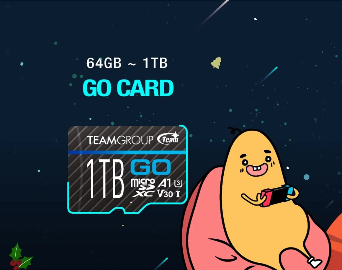 GO Card - 256GB