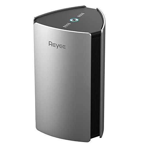 R6 - 802.11ax 1-Pack