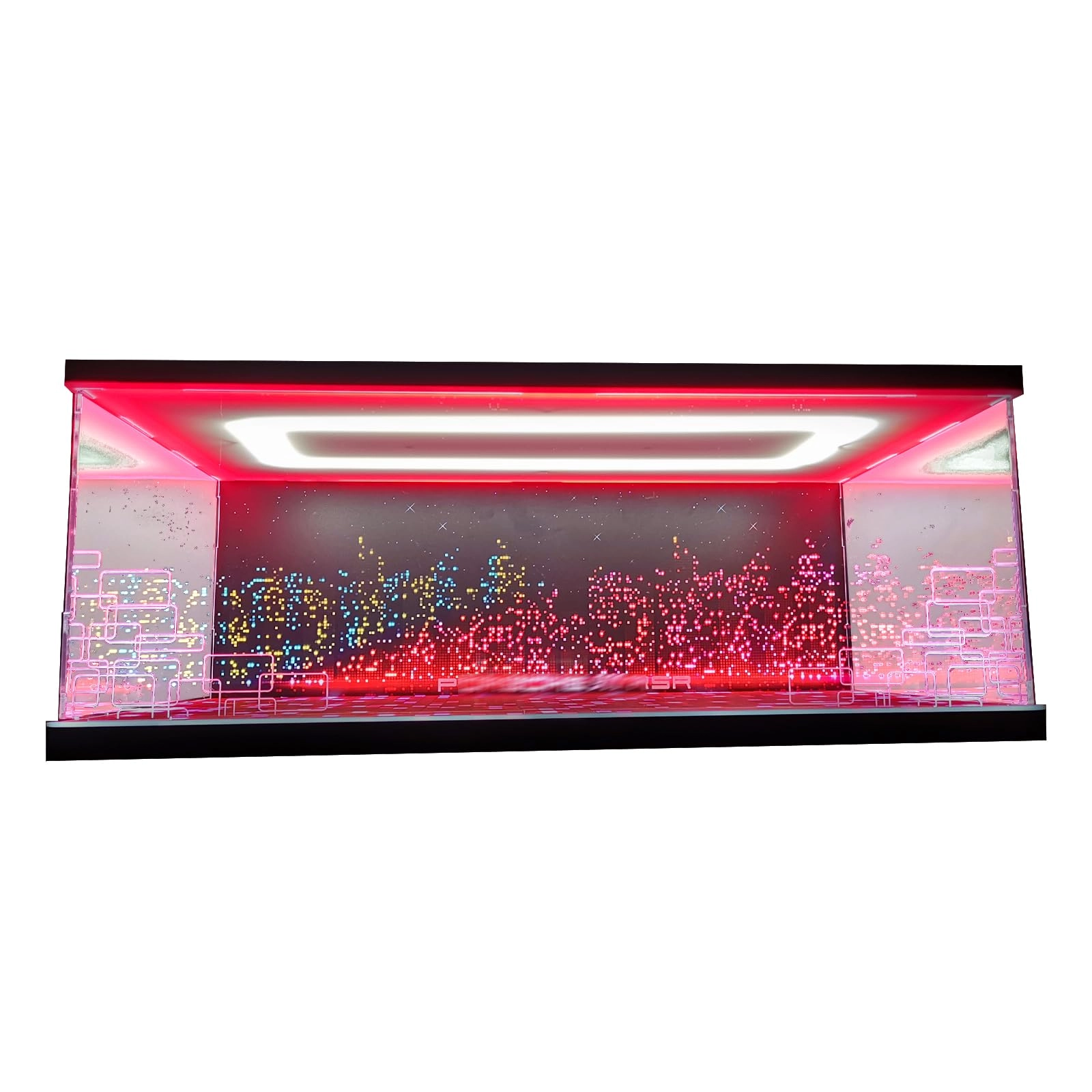 Display Case - LE/GO