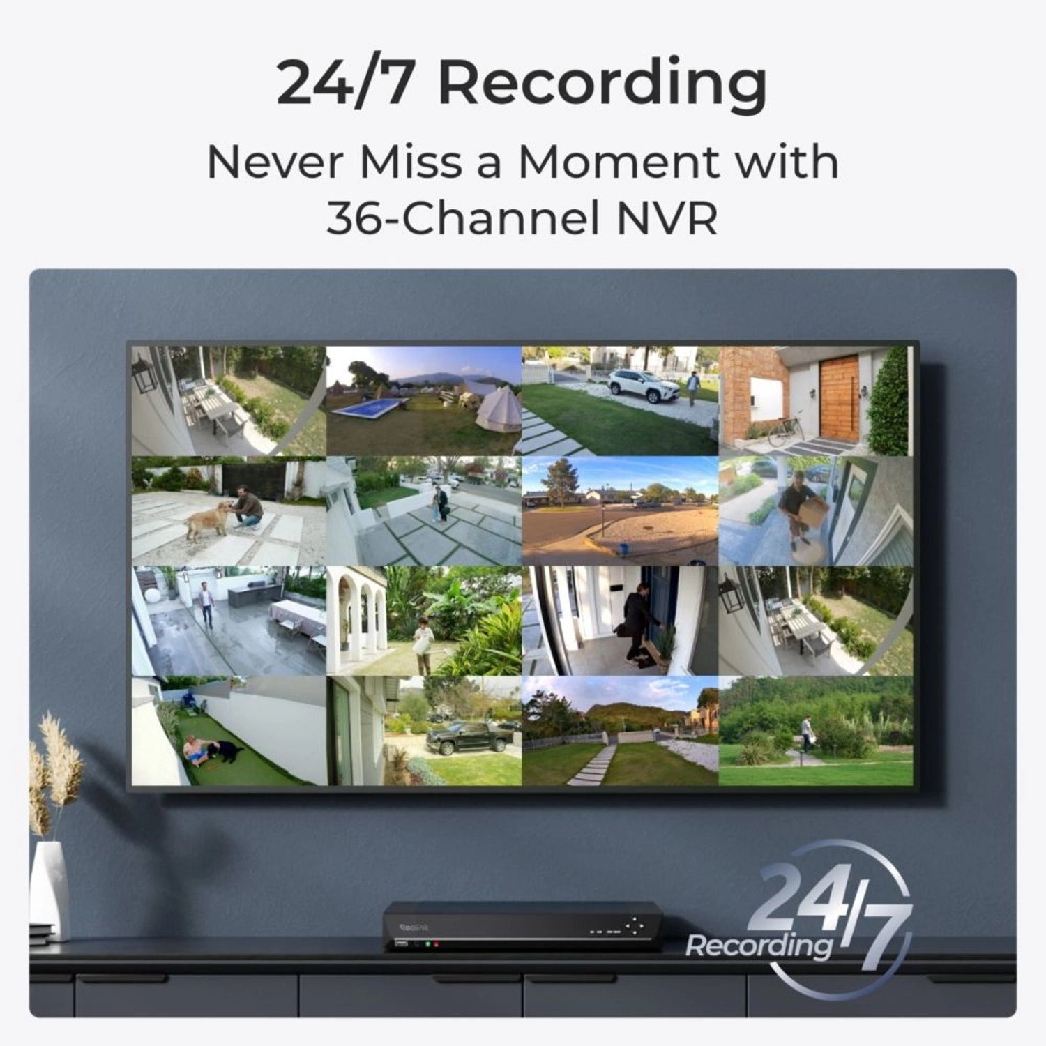 NVS36 - 36 channels