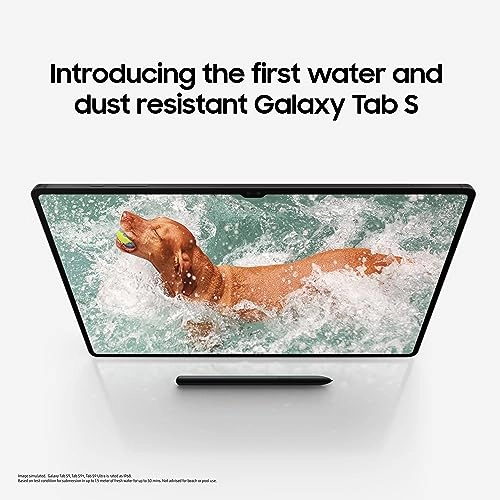 Galaxy Tab S9 - 128GB 11"