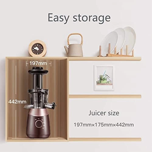Masticating Juicer - 150W