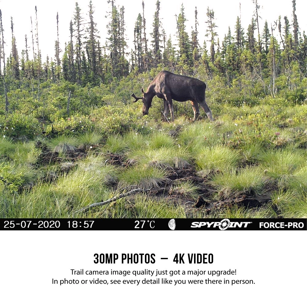 FORCE-PRO - LTE 30MP