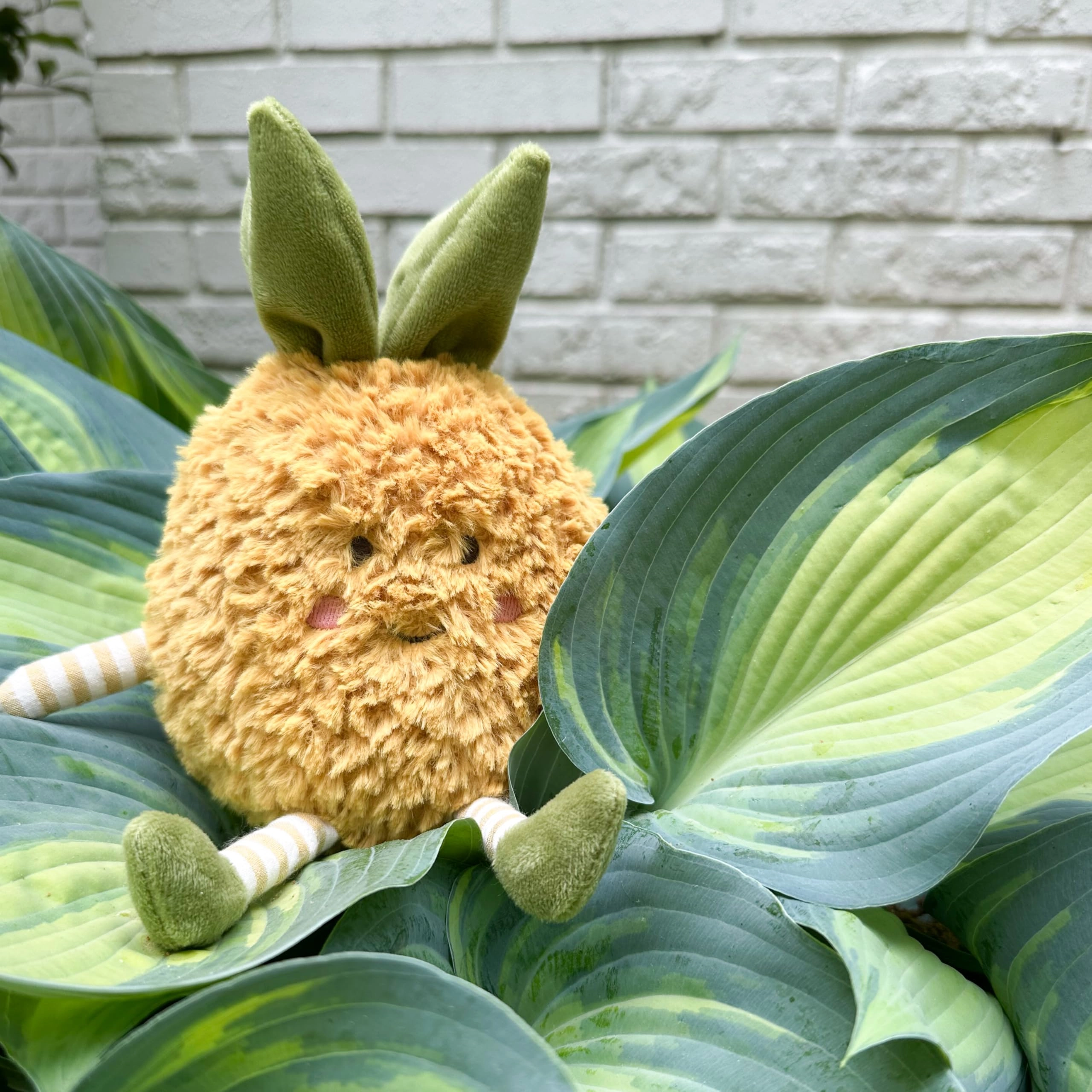Pineapple PINA PINEAPPLE 25.4 cm Plush